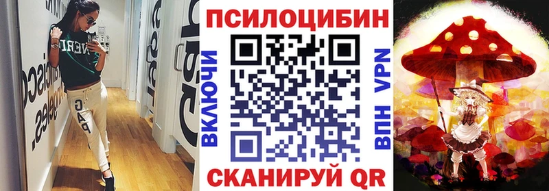 Псилоцибиновые грибы Cubensis  KRAKEN как зайти  Туринск  купить наркотик 